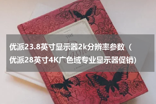 优派23.8英寸显示器2k分辨率参数（优派28英寸4K广色域专业显示器促销）