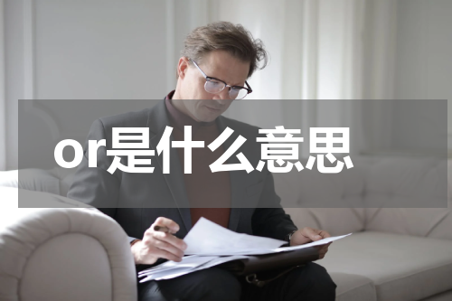 or是什么意思