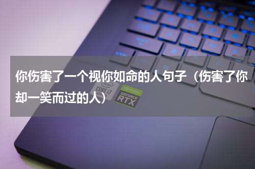 你伤害了一个视你如命的人句子（伤害了你却一笑而过的人）