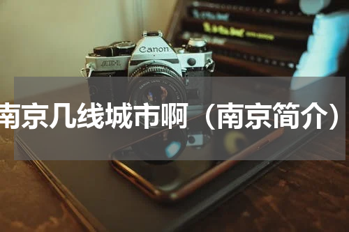 南京几线城市啊（南京简介）