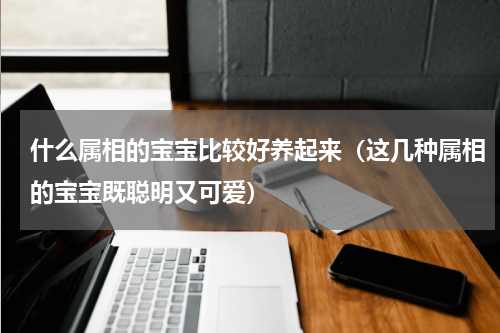 什么属相的宝宝比较好养起来（这几种属相的宝宝既聪明又可爱）