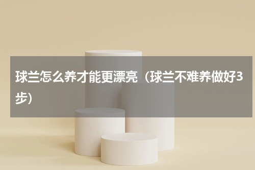球兰怎么养才能更漂亮（球兰不难养做好3步）