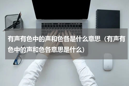 有声有色中的声和色各是什么意思（有声有色中的声和色各意思是什么）