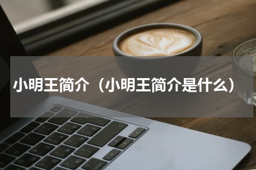 小明王简介（小明王简介是什么）