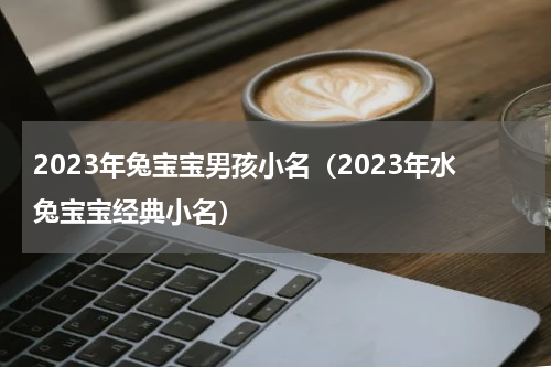 2023年兔宝宝男孩小名（2023年水兔宝宝经典小名）