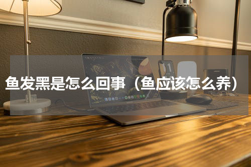 鱼发黑是怎么回事（鱼应该怎么养）