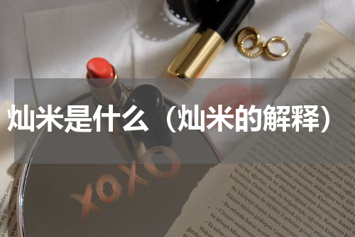 灿米是什么（灿米的解释）