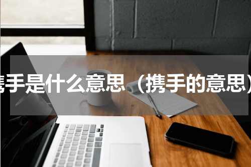 携手是什么意思（携手的意思）