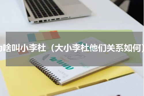 为啥叫小李杜（大小李杜他们关系如何）