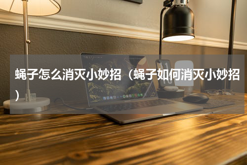 蝇子怎么消灭小妙招（蝇子如何消灭小妙招）