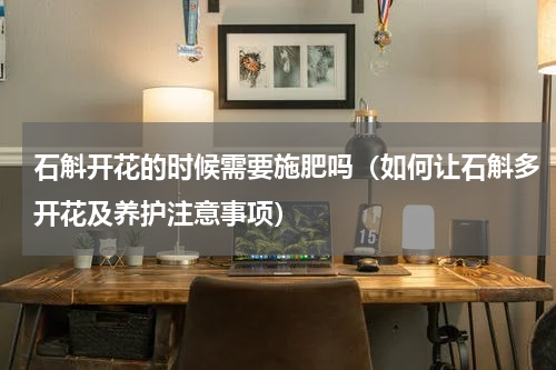 石斛开花的时候需要施肥吗（如何让石斛多开花及养护注意事项）