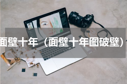 面壁十年（面壁十年图破壁）