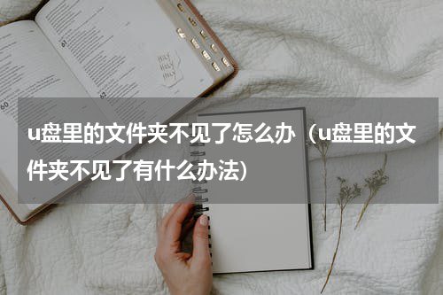 u盘里的文件夹不见了怎么办（u盘里的文件夹不见了有什么办法）