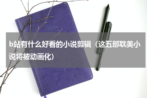 b站有什么好看的小说剪辑（这五部耽美小说将被动画化）