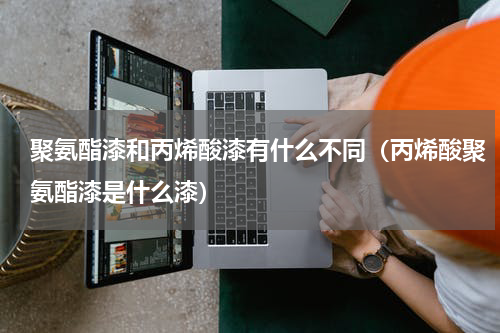 聚氨酯漆和丙烯酸漆有什么不同（丙烯酸聚氨酯漆是什么漆）