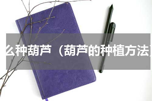 怎么种葫芦（葫芦的种植方法）