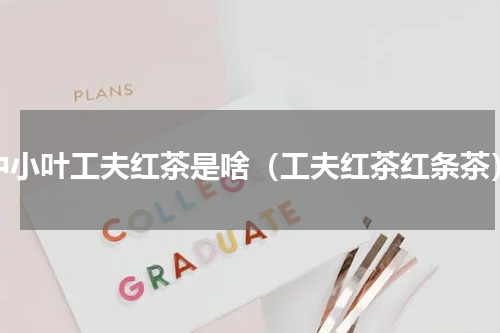中小叶工夫红茶是啥（工夫红茶红条茶）