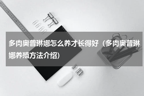 多肉奥普琳娜怎么养才长得好（多肉奥普琳娜养殖方法介绍）