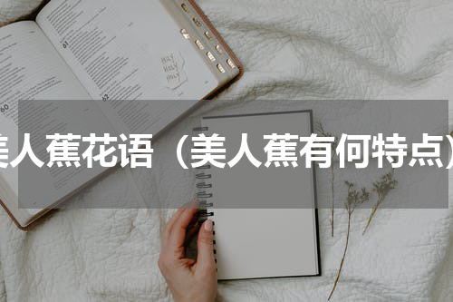 美人蕉花语（美人蕉有何特点）
