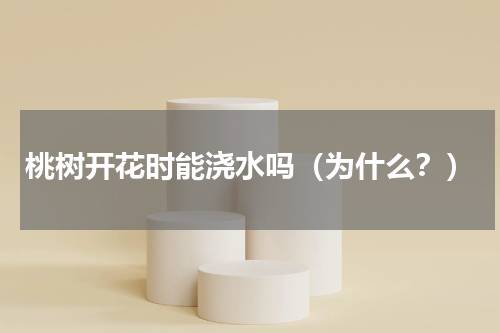 桃树开花时能浇水吗（为什么？）