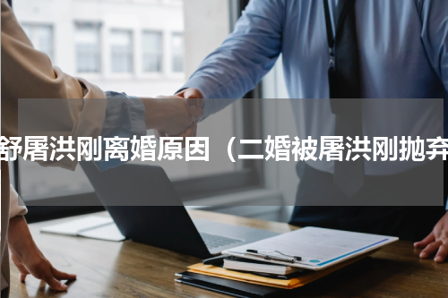 方舒屠洪刚离婚原因（二婚被屠洪刚抛弃）