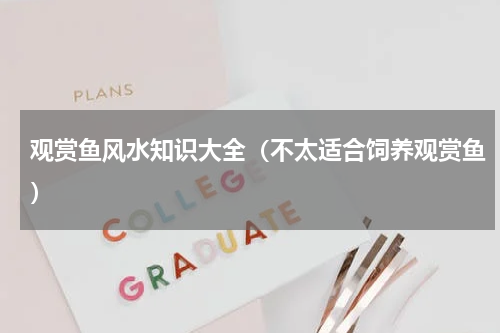 观赏鱼风水知识大全（不太适合饲养观赏鱼）