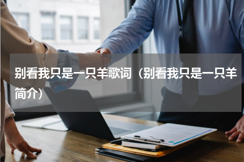 别看我只是一只羊歌词（别看我只是一只羊简介）
