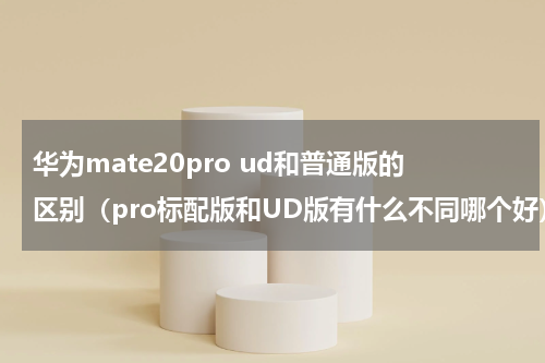 华为mate20pro ud和普通版的区别（pro标配版和UD版有什么不同哪个好）