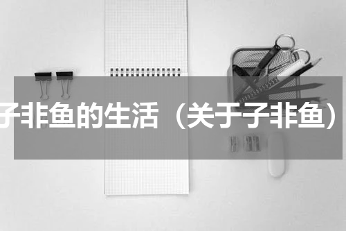 子非鱼的生活（关于子非鱼）