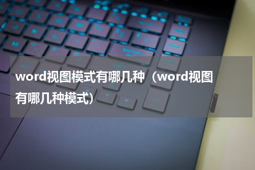 word视图模式有哪几种（word视图有哪几种模式）