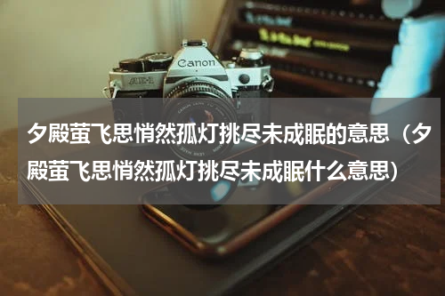 夕殿萤飞思悄然孤灯挑尽未成眠的意思（夕殿萤飞思悄然孤灯挑尽未成眠什么意思）