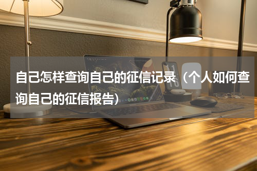 自己怎样查询自己的征信记录（个人如何查询自己的征信报告）