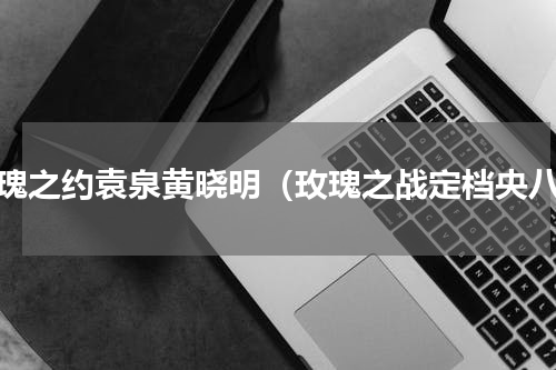 玫瑰之约袁泉黄晓明（玫瑰之战定档央八）