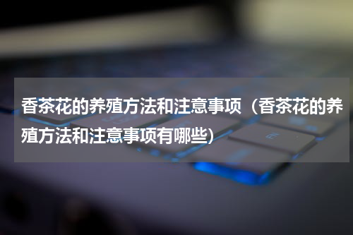 香茶花的养殖方法和注意事项（香茶花的养殖方法和注意事项有哪些）