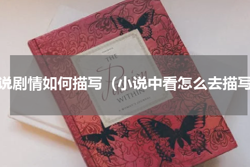 小说剧情如何描写（小说中看怎么去描写）