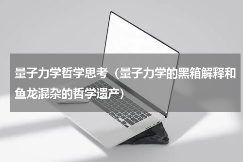 量子力学哲学思考（量子力学的黑箱解释和鱼龙混杂的哲学遗产）