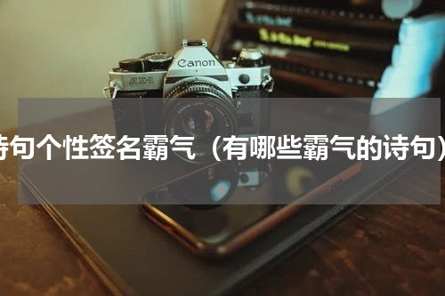 诗句个性签名霸气（有哪些霸气的诗句）
