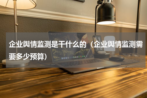 企业舆情监测是干什么的（企业舆情监测需要多少预算）