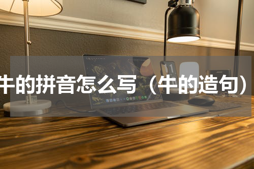 牛的拼音怎么写（牛的造句）
