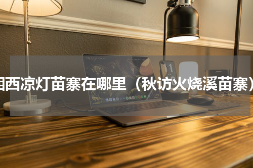 湘西凉灯苗寨在哪里（秋访火烧溪苗寨）