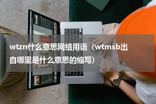 wtzn什么意思网络用语（wtmsb出自哪里是什么意思的缩写）