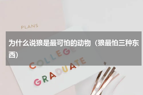 为什么说狼是最可怕的动物（狼最怕三种东西）