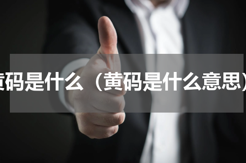 黄码是什么（黄码是什么意思）