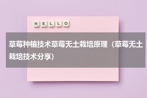 草莓种植技术草莓无土栽培原理（草莓无土栽培技术分享）