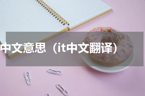 it中文意思（it中文翻译）