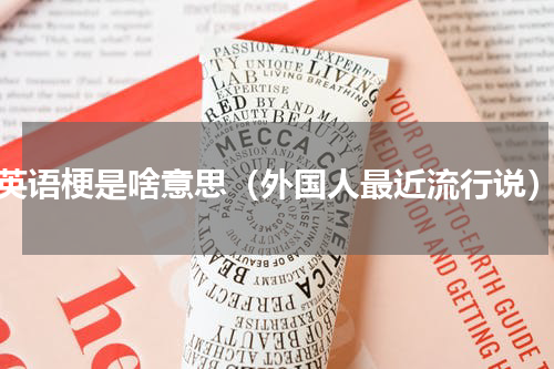 英语梗是啥意思（外国人最近流行说）