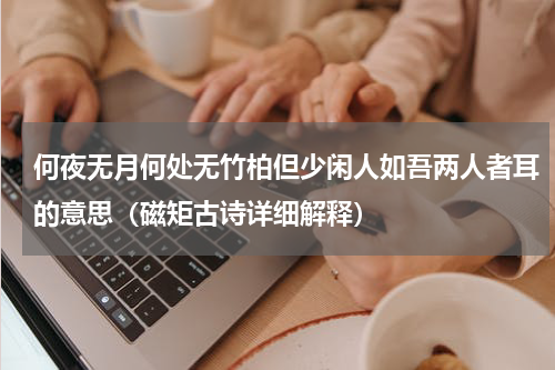 何夜无月何处无竹柏但少闲人如吾两人者耳的意思（磁矩古诗详细解释）