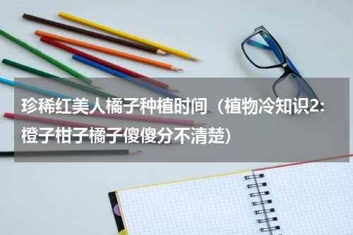 珍稀红美人橘子种植时间（植物冷知识2:橙子柑子橘子傻傻分不清楚）