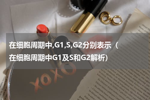 在细胞周期中,G1,S,G2分别表示（在细胞周期中G1及S和G2解析）