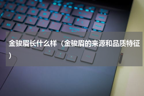 金骏眉长什么样（金骏眉的来源和品质特征）